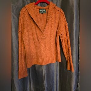 American Eagle Outfitters Rust V-Neck Sweater